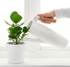 Arrosoir IKEA BITTERGURKA, blanc, 0,5 gal, 2 l, poignée bambou métal 12" 30