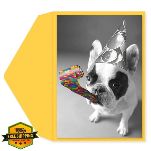 Graphique party bulldog - graphique,
