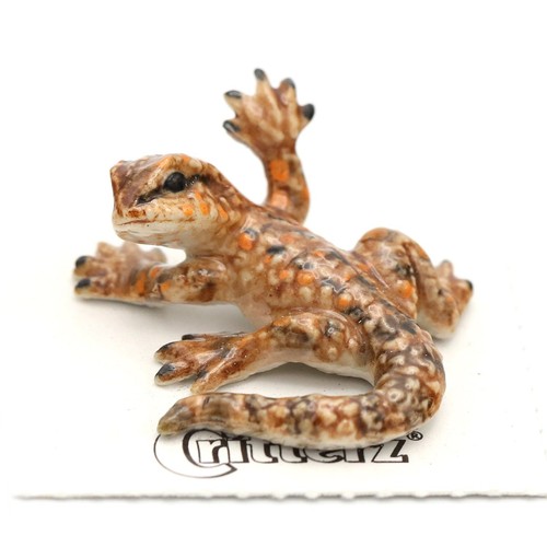 Little critterz dragon - little,