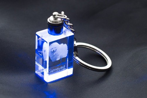 Samoyède chien porte clés - chien, porte-clés
