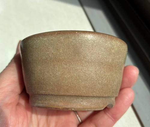 Pot bonsaï japonais saraku - bonsaï,