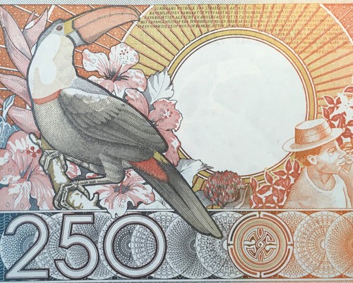 Surinam superbe billet 250 - billet, de