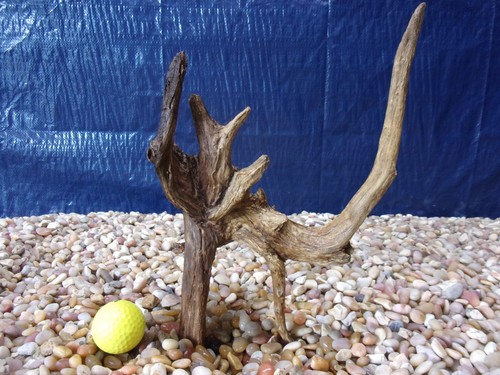 Small driftwood x08 - small, 14"x08"x05"