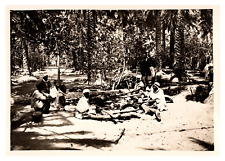 Algeria, Fire, Turner Pin Vintage Silver Print Silver Print 11x16 