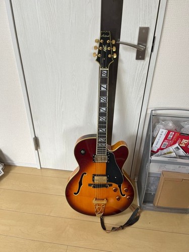 Guitare acoustique complète