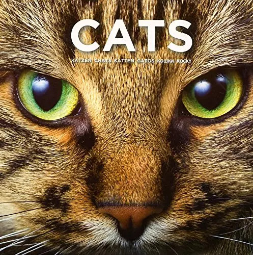 Cat coffee table book this - coffee, book: