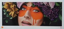 Fin Dac ( Findac ) -  print