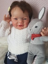 Bébé reborn , T'Choupi, Etat