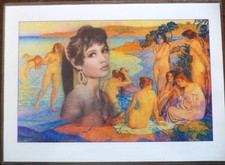 ** Reproduction plastifiée