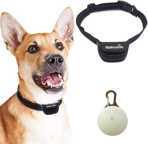 Meilleur collier anti - meilleur,