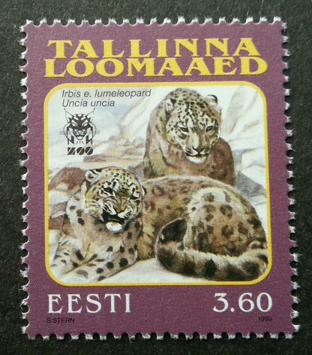 Estonia tallinn zoo snow - tallinn,