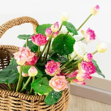 Fausses plantes à fleurs