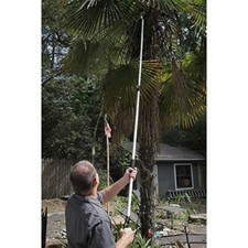 Élagueuse télescopique