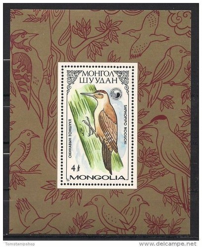 Mongolie 1987 oiseaux pivert - oiseaux, m