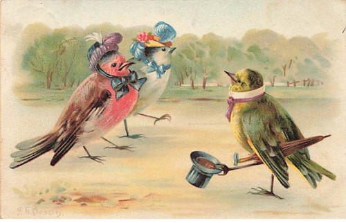 Fantaisie oiseaux habillés - fantaisie,