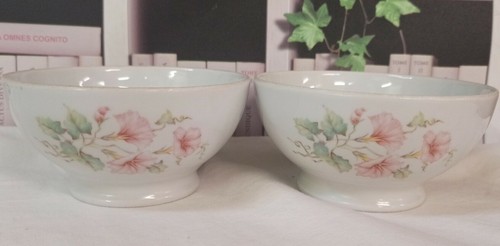Bols ancien porcelaine - en,