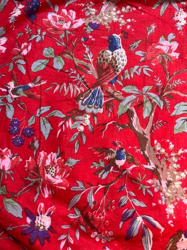 Rouge indien oiseau imprimé - rouge,