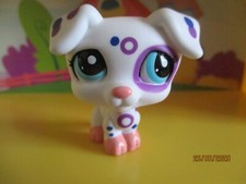 Petshop Dog Jack Russel