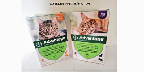 Advantage chat lapin - 40-80,