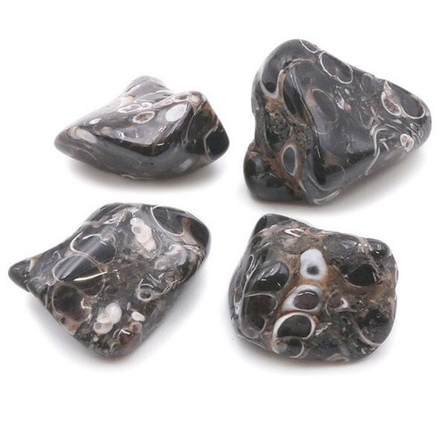 Agate fossile pierre roulée - fossile,