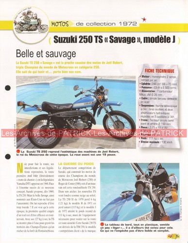 Suzuki 250 savage - 250, model