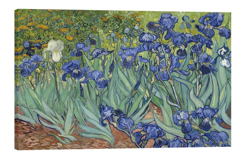 Toile cadres vincent van gogh - toile/cadres,