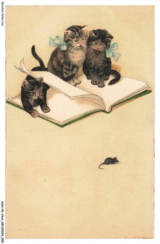 Ashp6 0367 chat dessin de - ashp6-0367-chat,