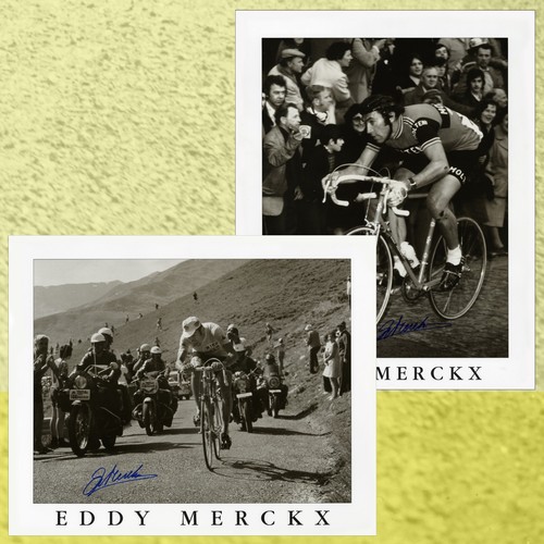 Eddy merckx signed print set - eddy,