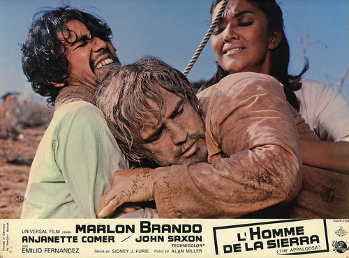Marlon brando the appaloosa - marlon,