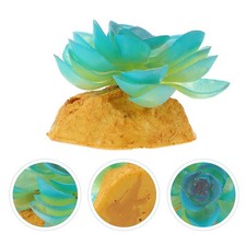  Accessoire Terrarium Fausse