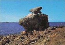 29 PLOUGASNOU LE CRAPAUD