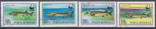Timbres sur les - ,