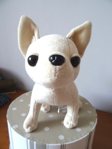 Chien chihuahua chichi love - ,