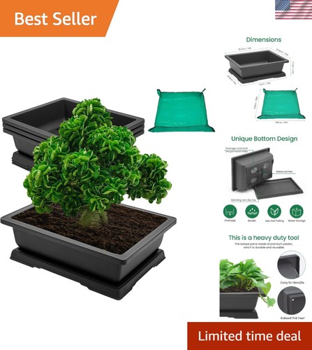 Versatile inch bonsai - versatile, pot