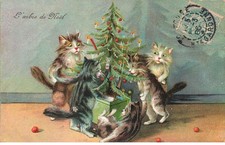 MIKII-023 CHATS ET SAPIN DE