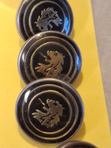 Lot boutons blazer lion - de,