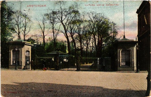 Cpa amsterdam natura - natura, artis