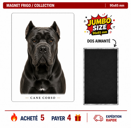 Magnet cane corso - , 90x65