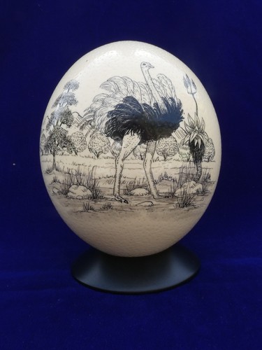 Superbe top oeuf d - superbe,