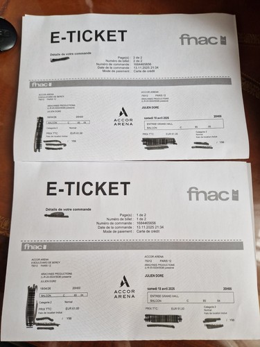Billets concert julien doré - 2,