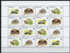 Monaco - Tortue de Hermann