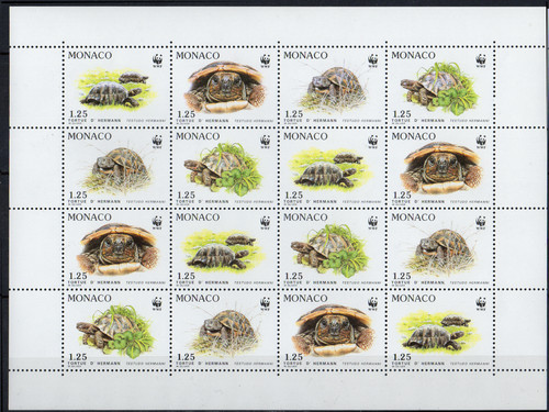 Monaco tortue de hermann - de,