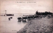 45* BEAULIEU   bords de la loire � bovins     RL59,0453