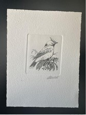 Belgique 1994 COB 2534 Epreuve