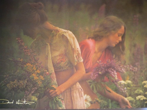 Carte postale david - carte,