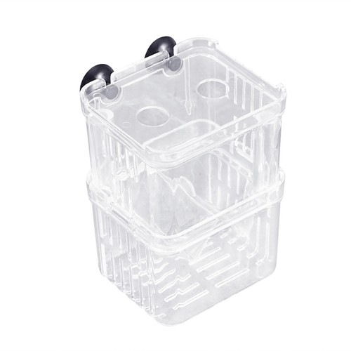 Couveuse oeufs boîte - couveuse,