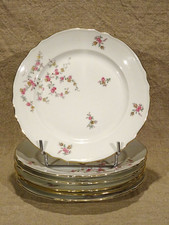 6 assiettes plates porcelaine