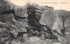 77-FONTAINEBLEAU LA FORET