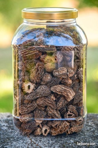 Morilles sechees sauvages - morilles,