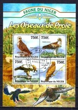 Animaux Oiseaux Rapaces Niger